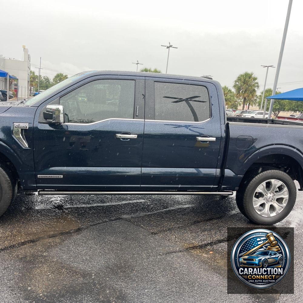 2023 Ford F-150 Platinum