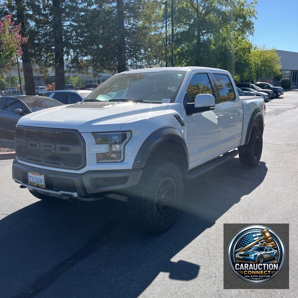 2019 Ford F-150 Raptor