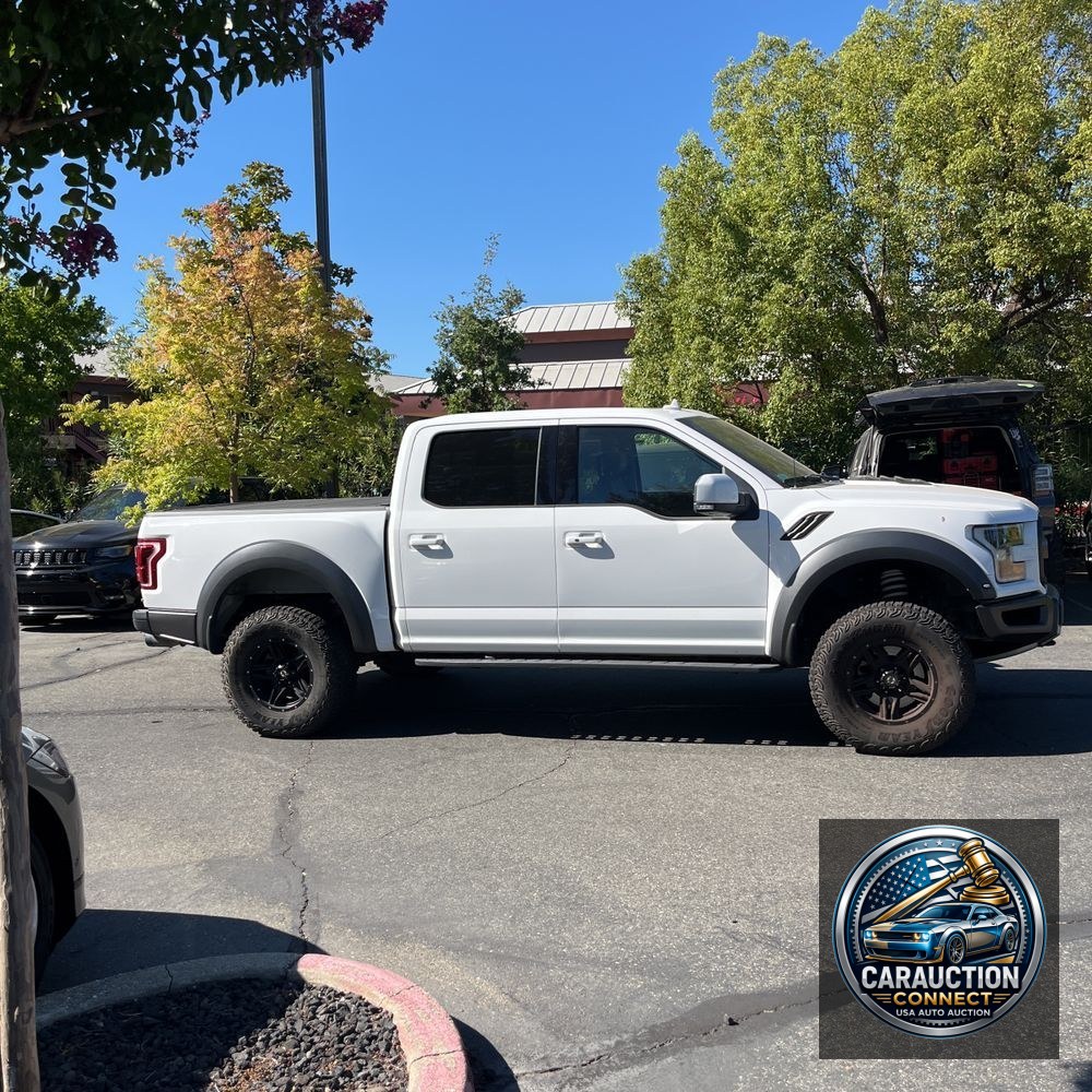 2019 Ford F-150 Raptor