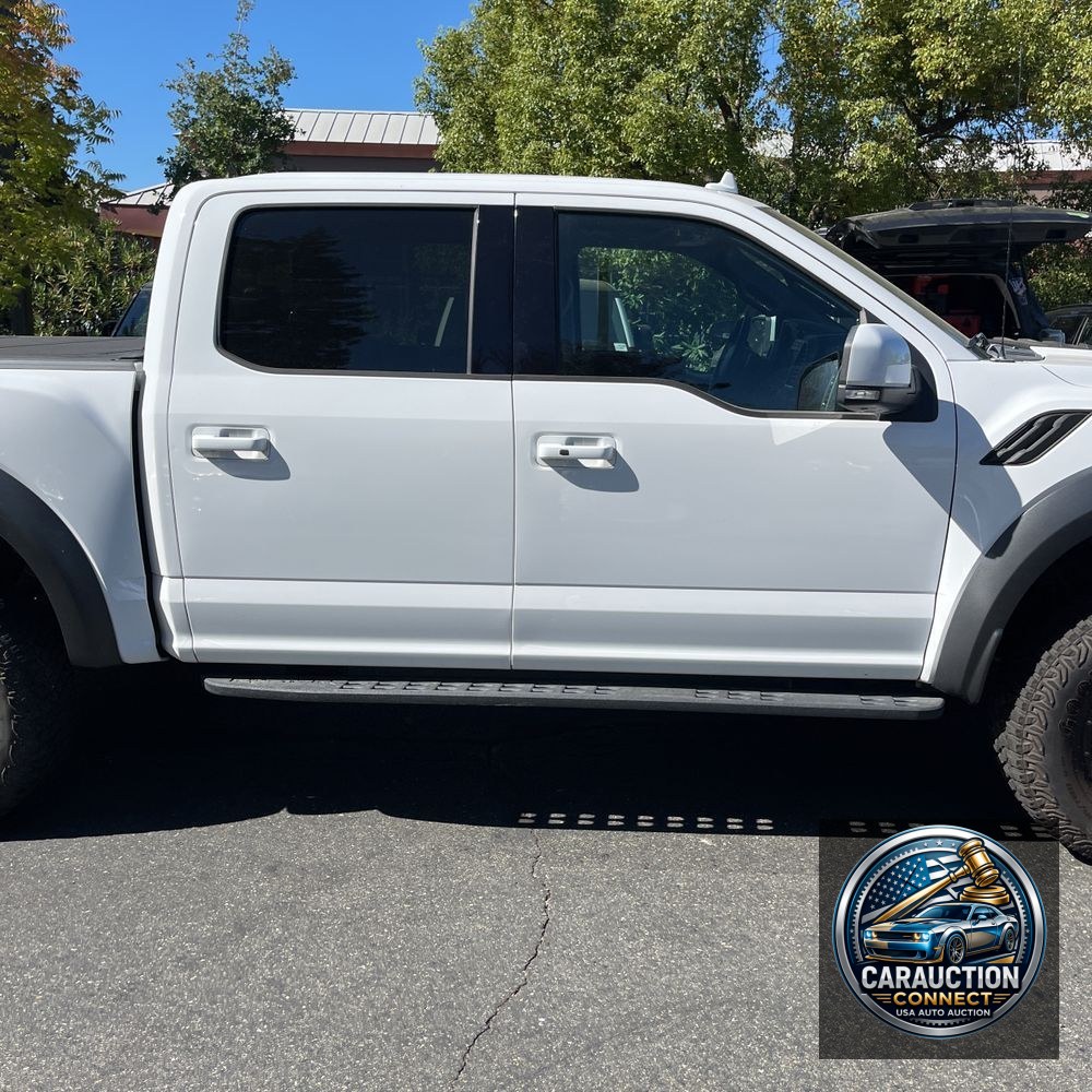 2019 Ford F-150 Raptor