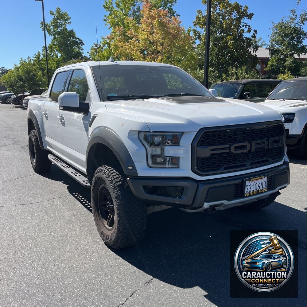 2019 Ford F-150 Raptor