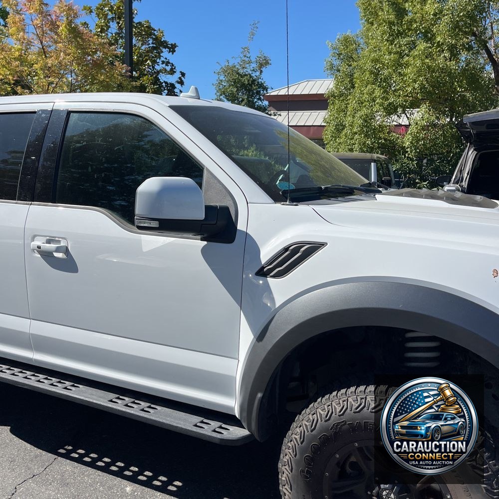 2019 Ford F-150 Raptor