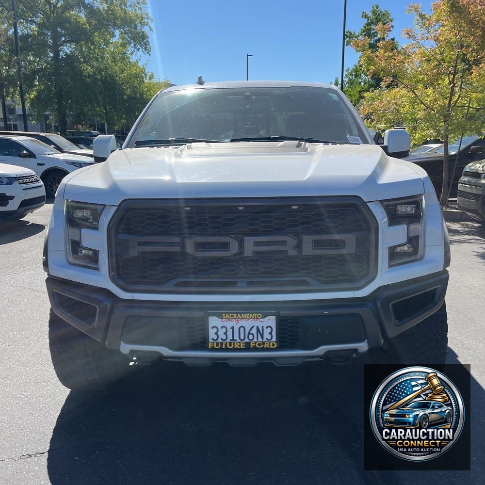 2019 Ford F-150 Raptor