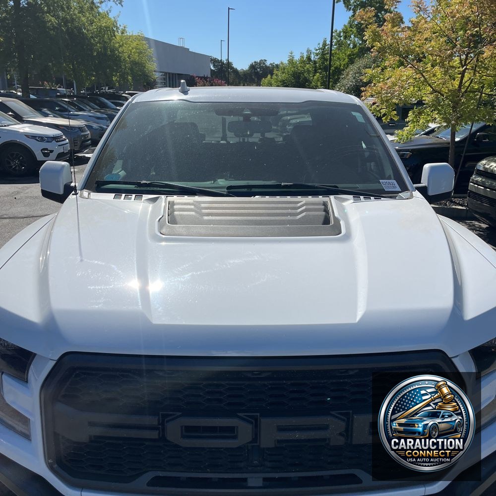 2019 Ford F-150 Raptor