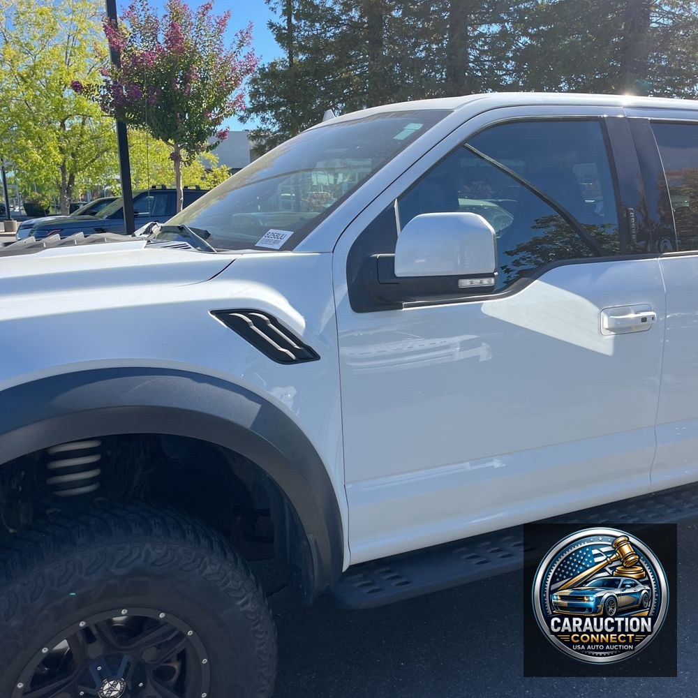 2019 Ford F-150 Raptor