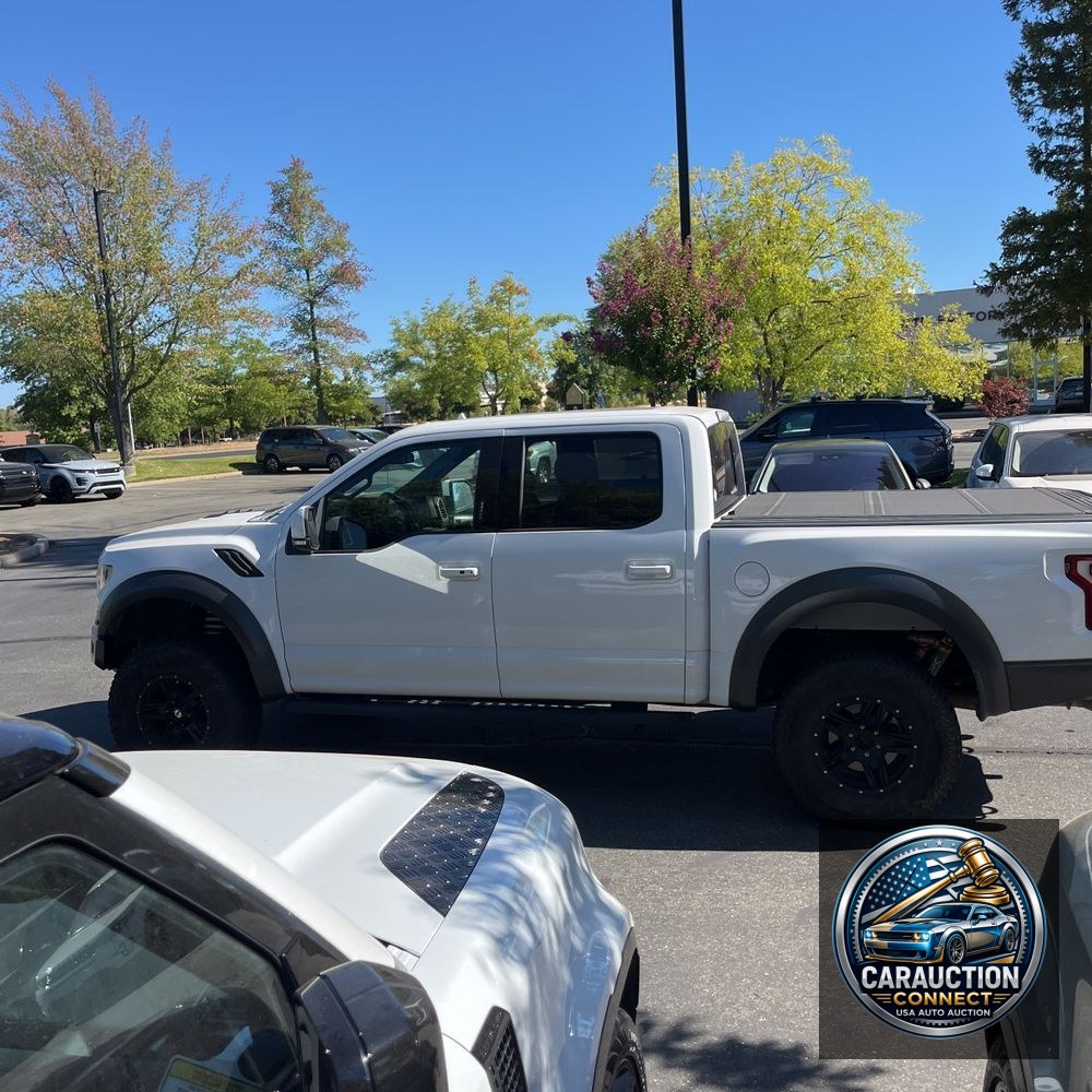2019 Ford F-150 Raptor