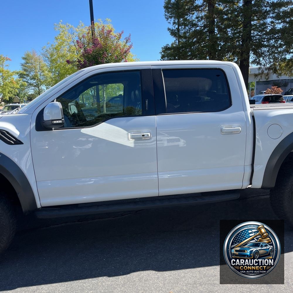 2019 Ford F-150 Raptor