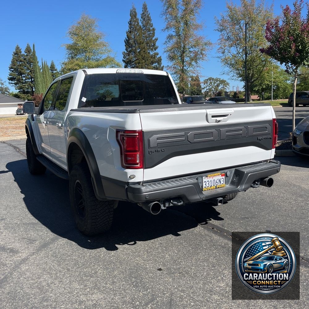 2019 Ford F-150 Raptor