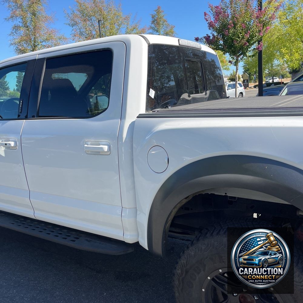 2019 Ford F-150 Raptor