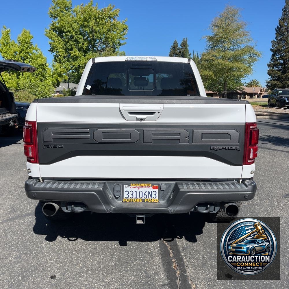 2019 Ford F-150 Raptor