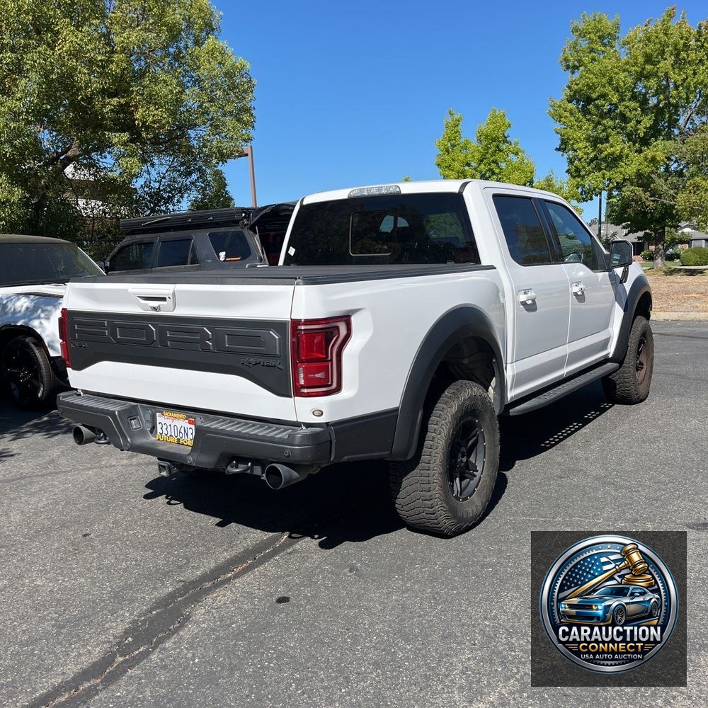 2019 Ford F-150 Raptor