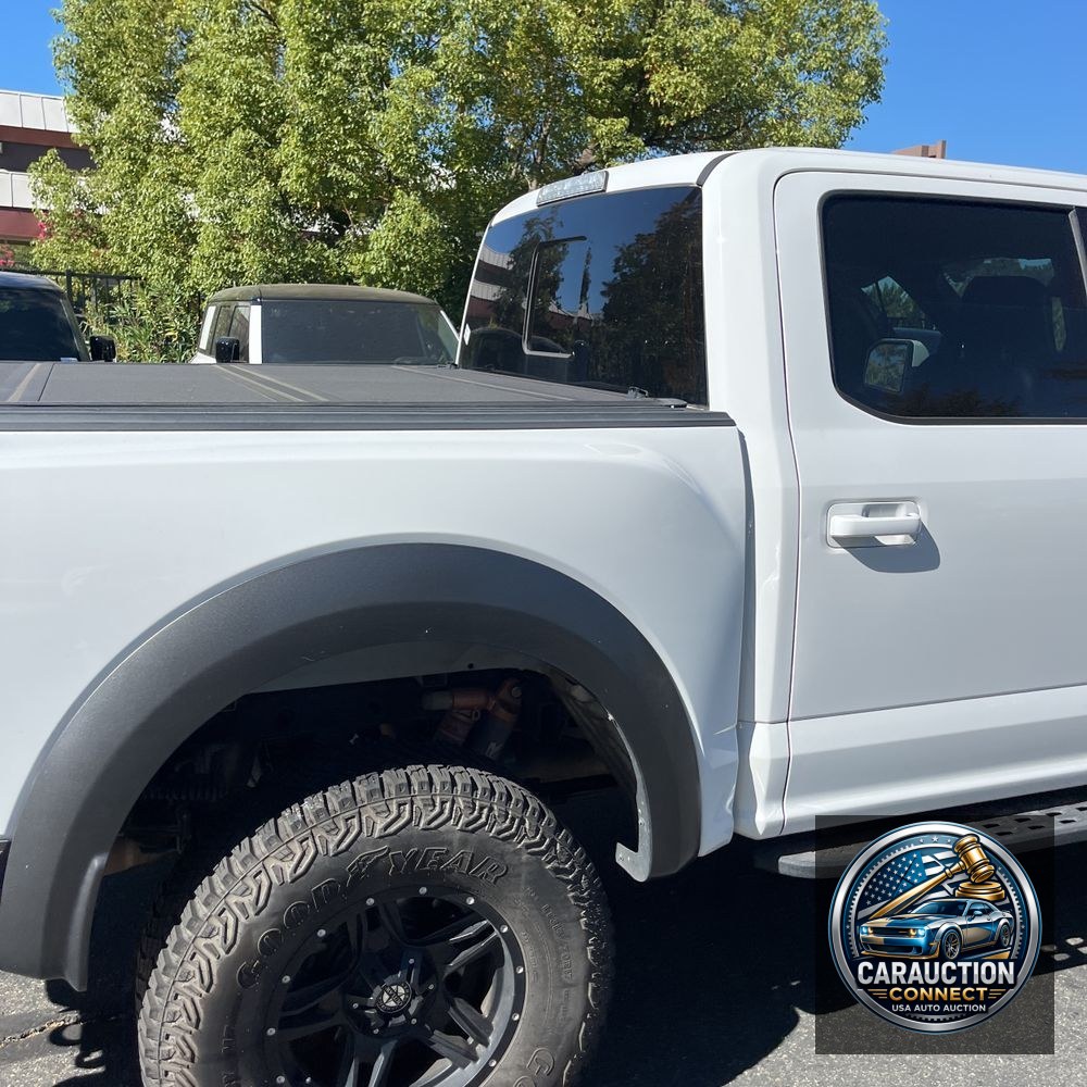 2019 Ford F-150 Raptor