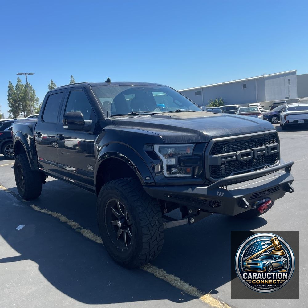 2019 Ford F-150 Raptor