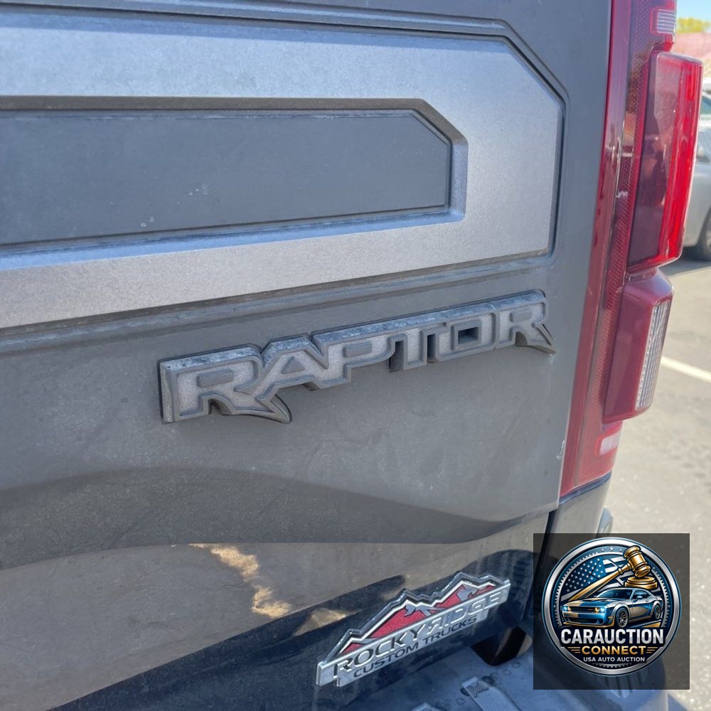 2019 Ford F-150 Raptor