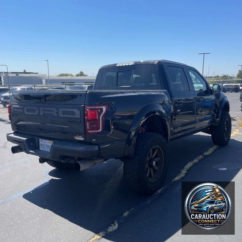 2019 Ford F-150 Raptor