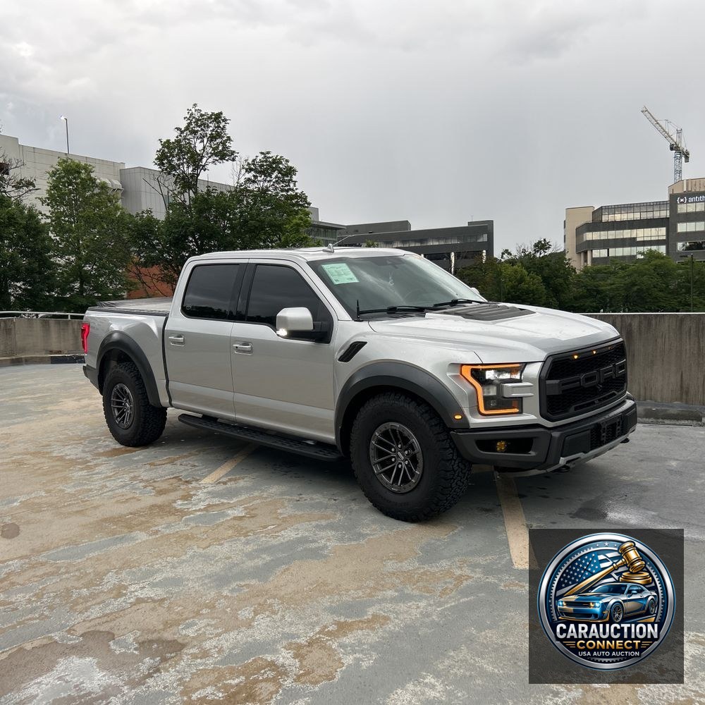 2019 Ford F-150 Raptor