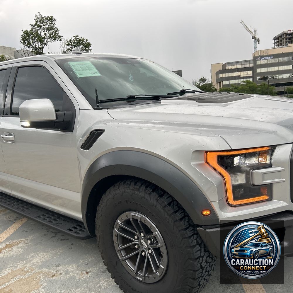 2019 Ford F-150 Raptor