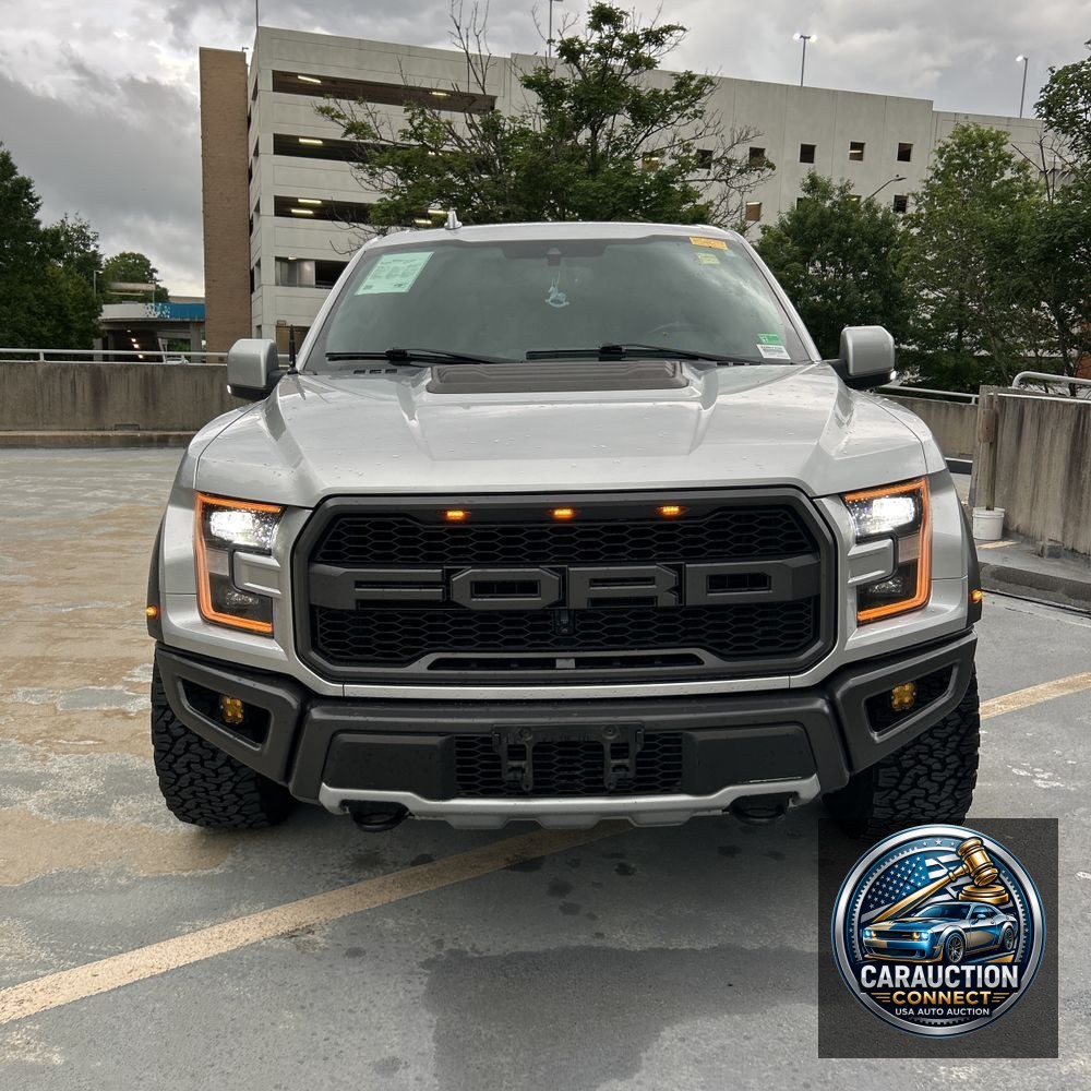 2019 Ford F-150 Raptor