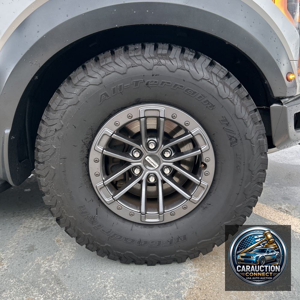 2019 Ford F-150 Raptor