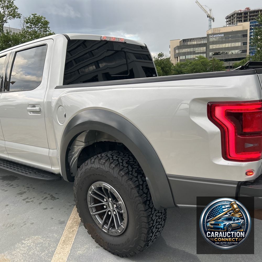 2019 Ford F-150 Raptor