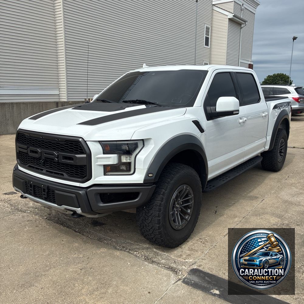 2019 Ford F-150 Raptor