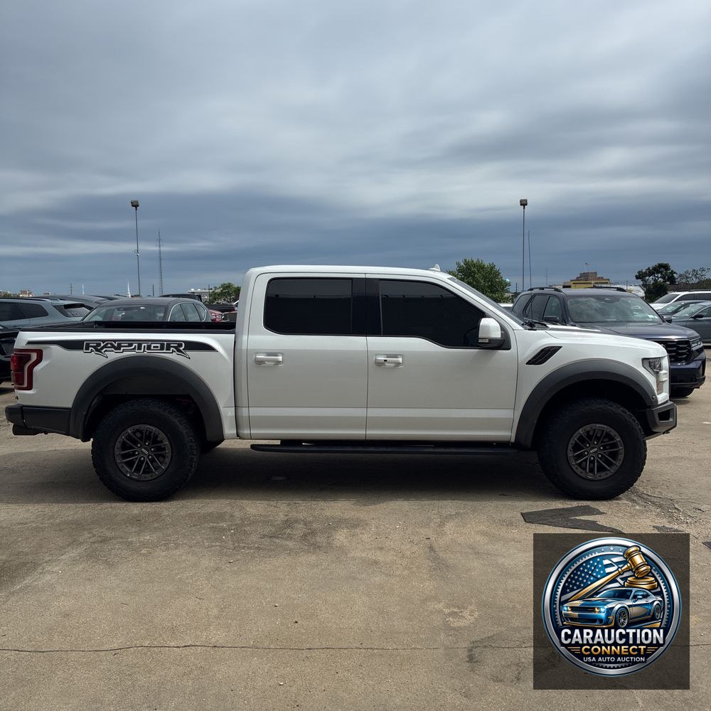 2019 Ford F-150 Raptor
