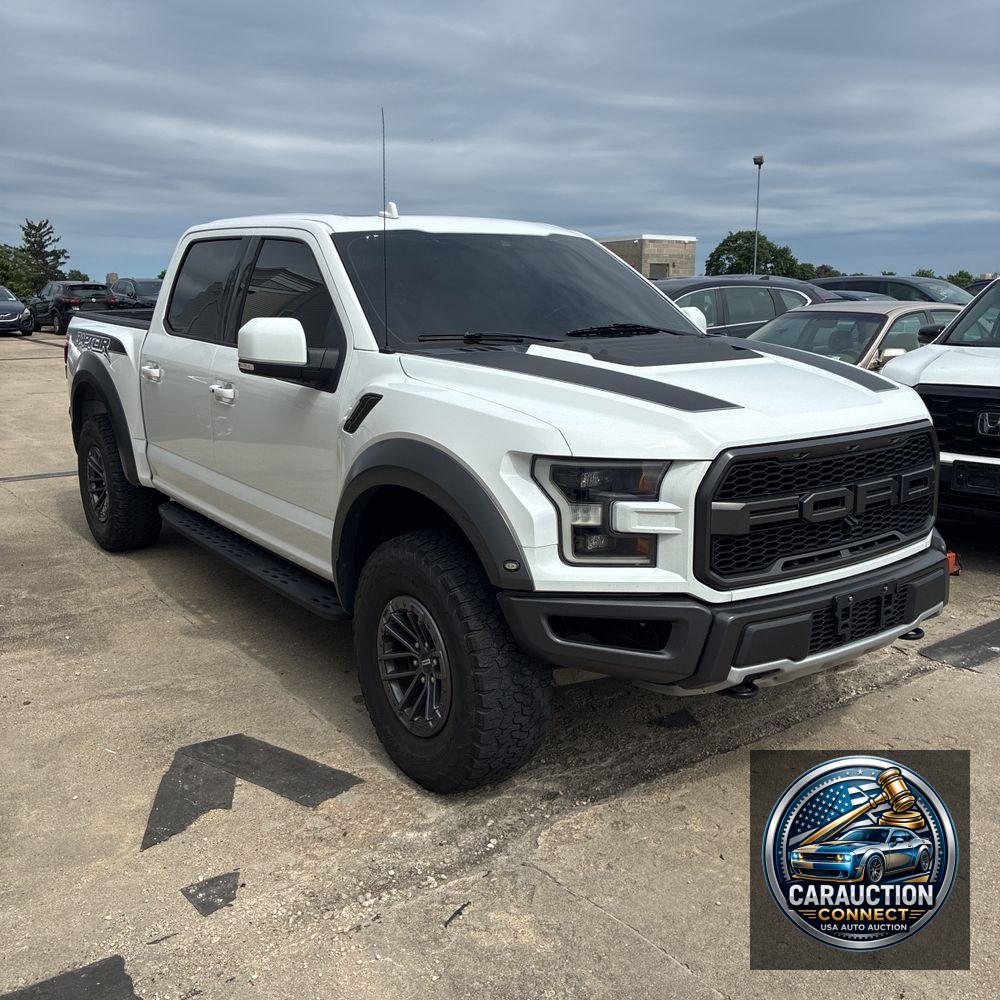2019 Ford F-150 Raptor