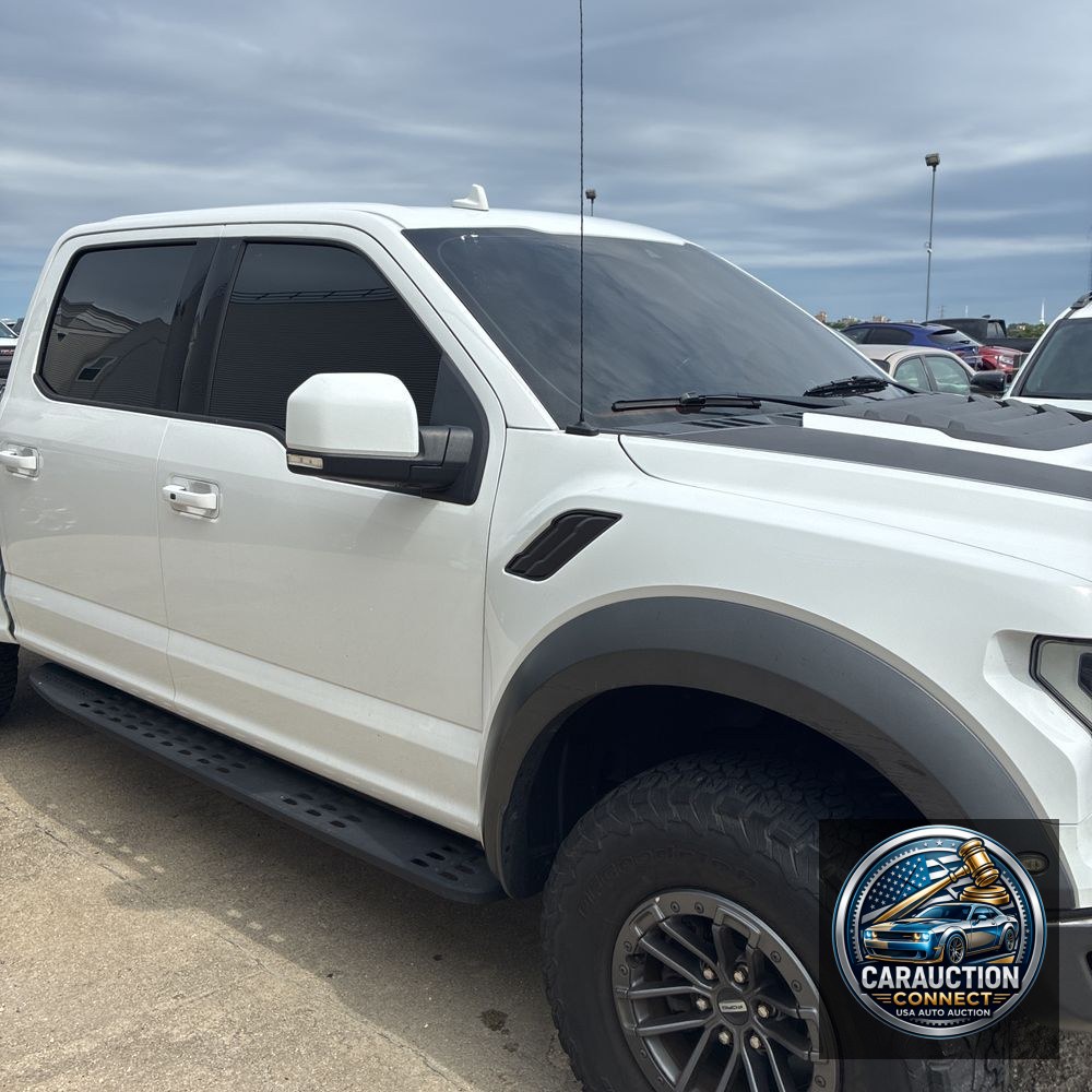 2019 Ford F-150 Raptor
