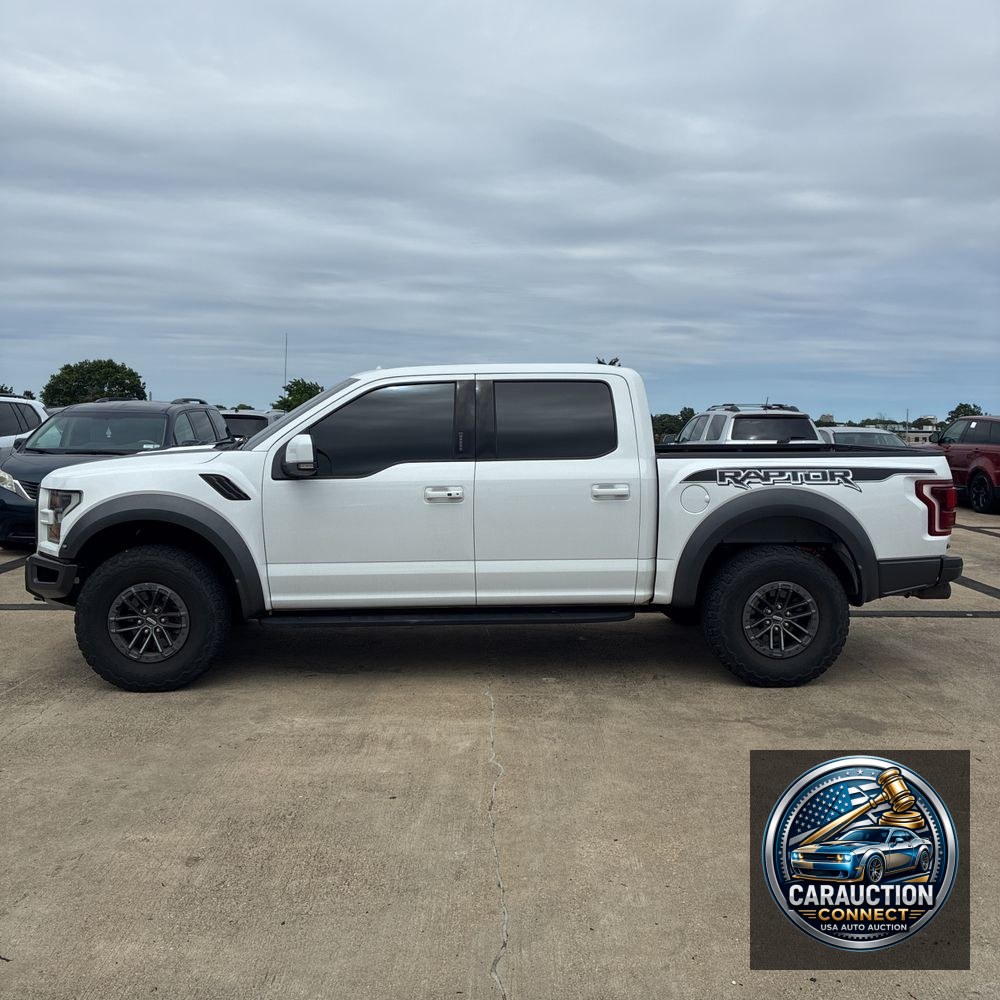2019 Ford F-150 Raptor