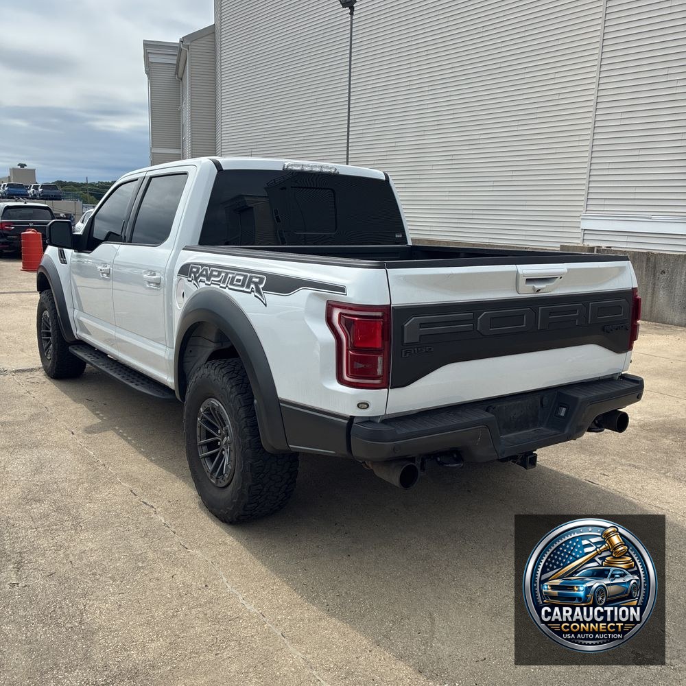 2019 Ford F-150 Raptor