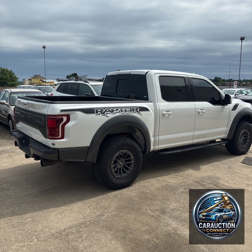 2019 Ford F-150 Raptor