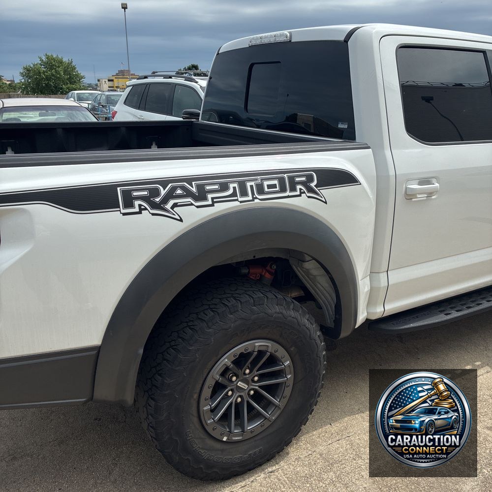 2019 Ford F-150 Raptor