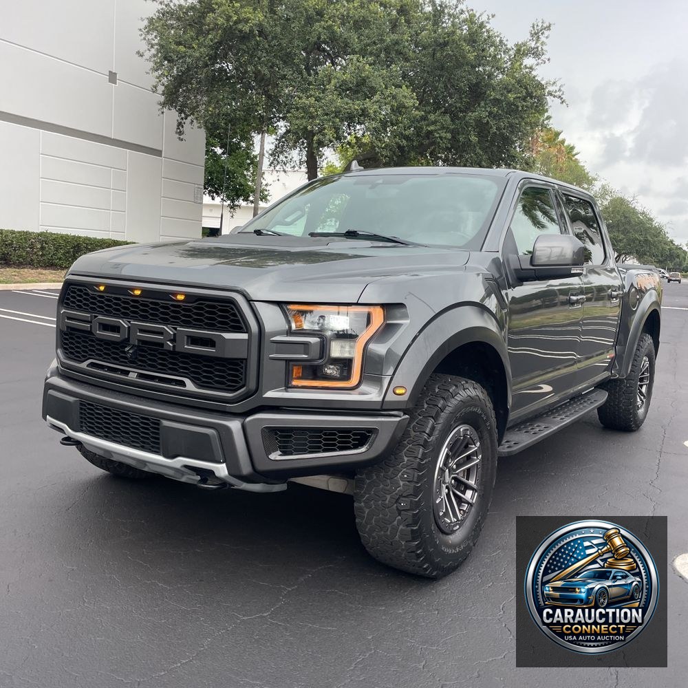 2019 Ford F-150 Raptor