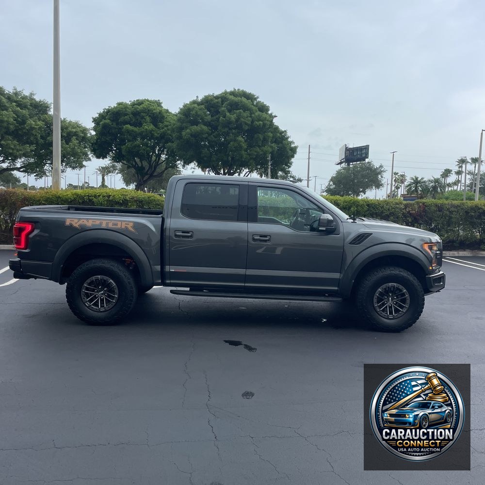 2019 Ford F-150 Raptor
