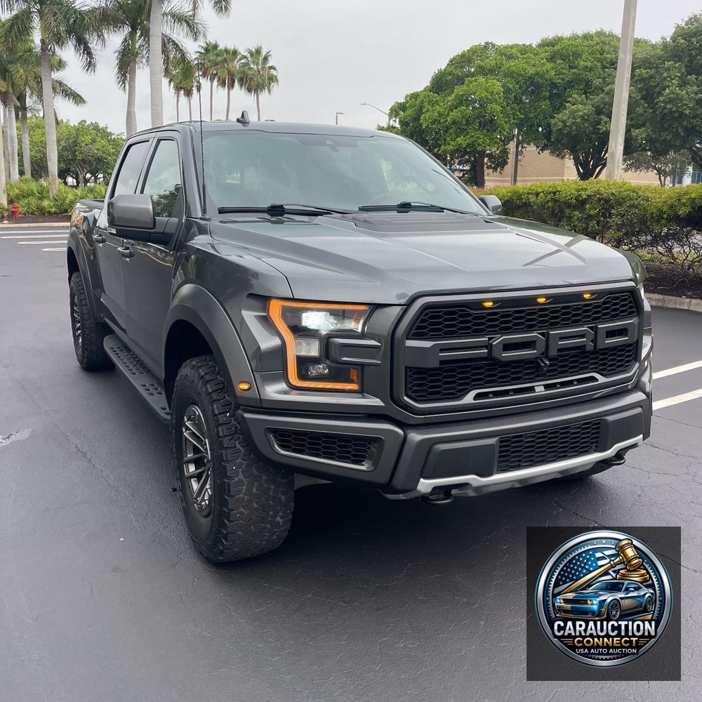 2019 Ford F-150 Raptor