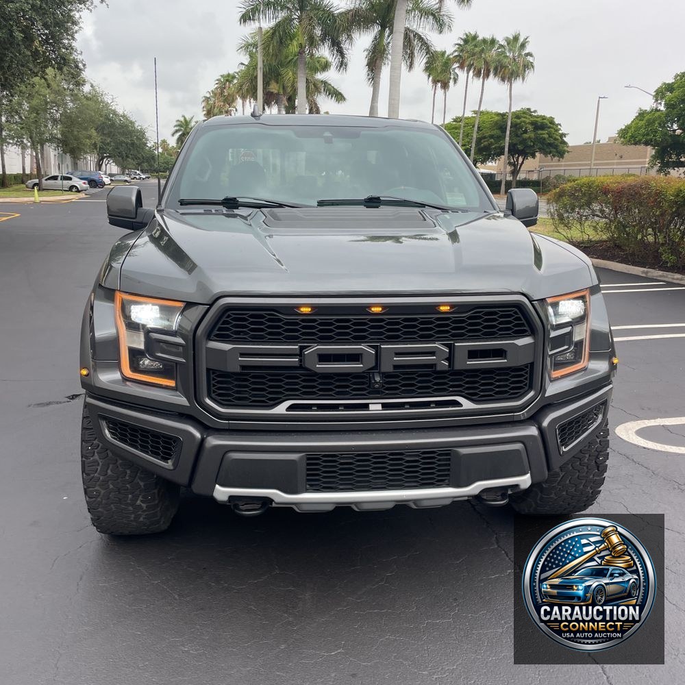2019 Ford F-150 Raptor