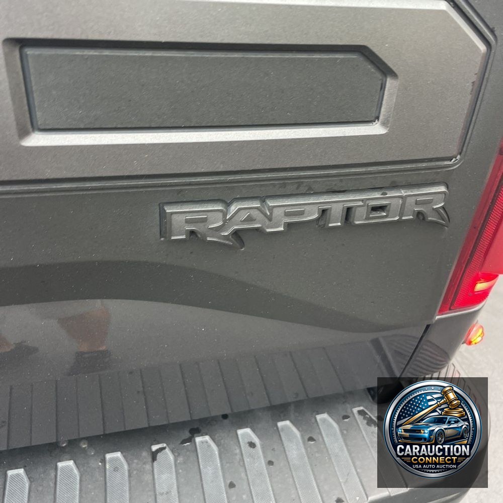 2019 Ford F-150 Raptor