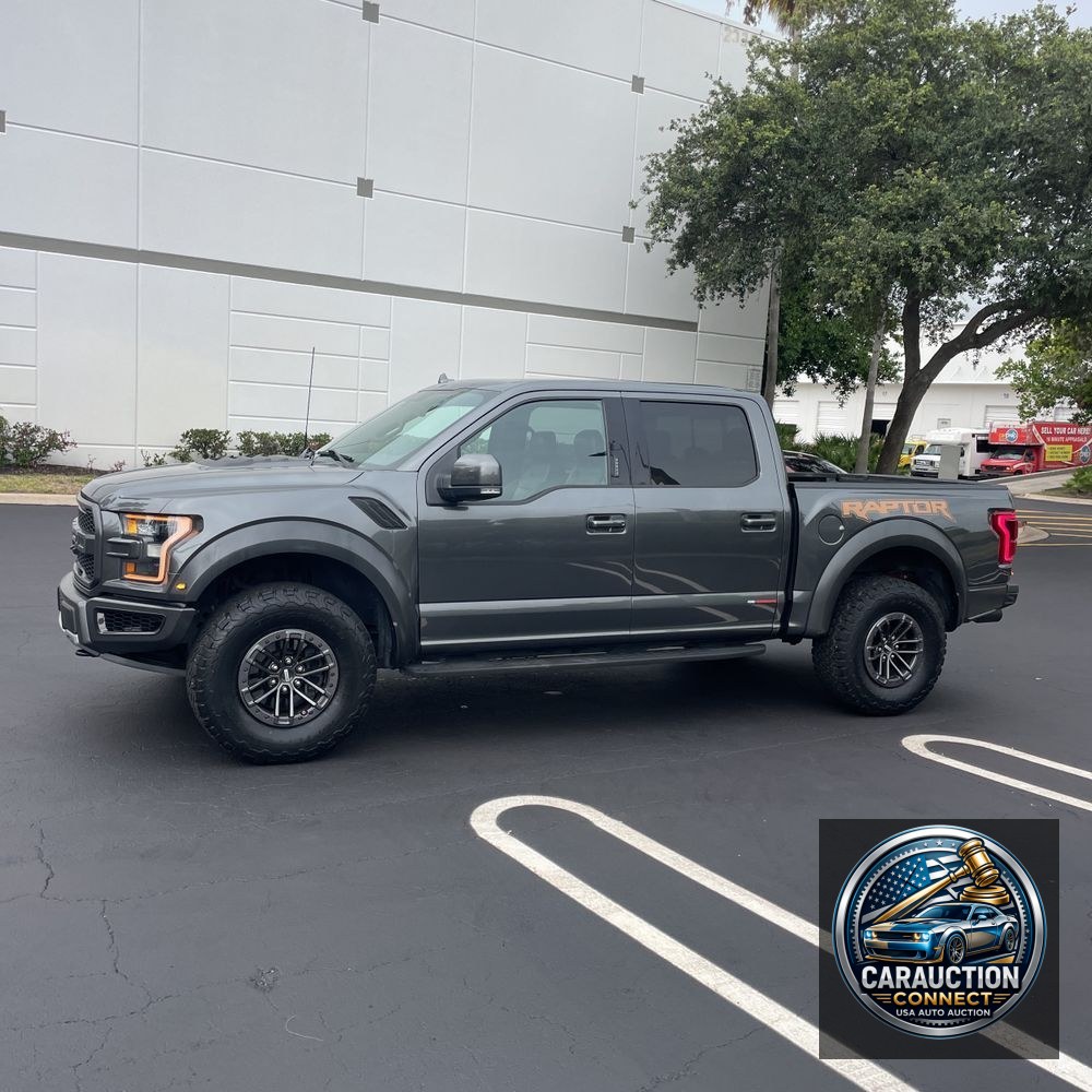 2019 Ford F-150 Raptor