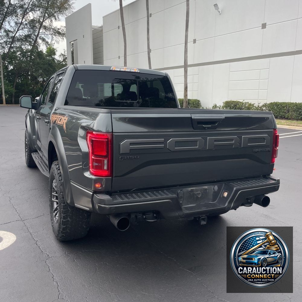 2019 Ford F-150 Raptor