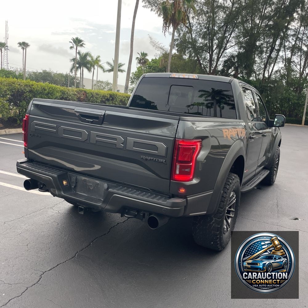 2019 Ford F-150 Raptor