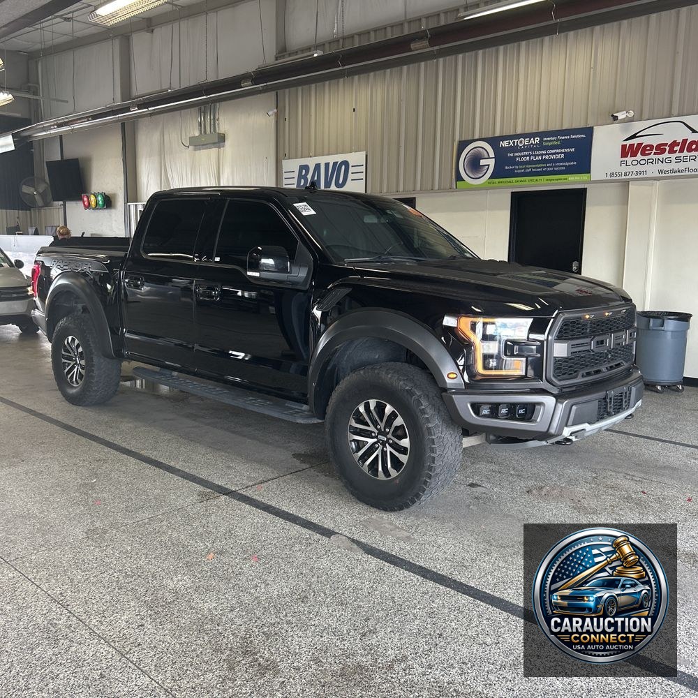2019 Ford F-150 Raptor