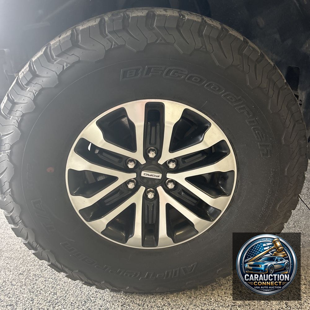 2019 Ford F-150 Raptor