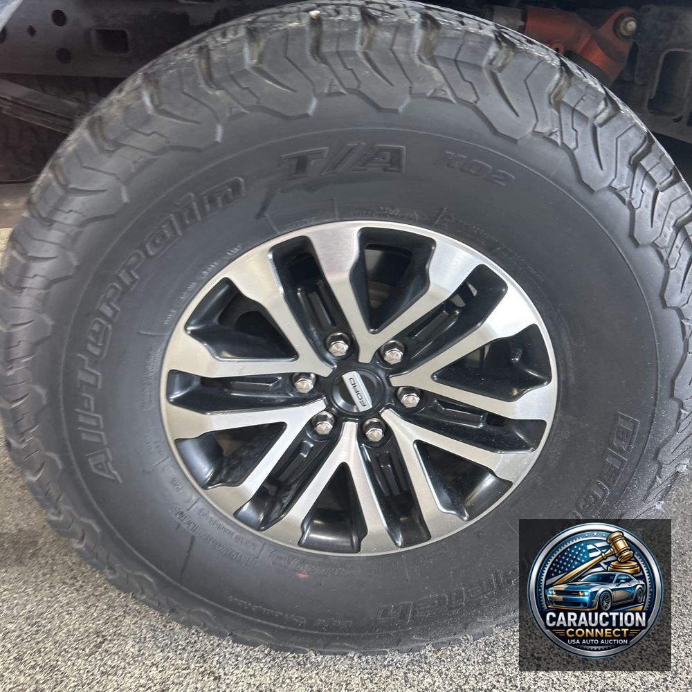 2019 Ford F-150 Raptor