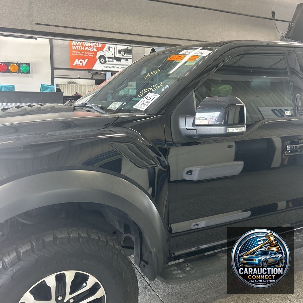 2019 Ford F-150 Raptor