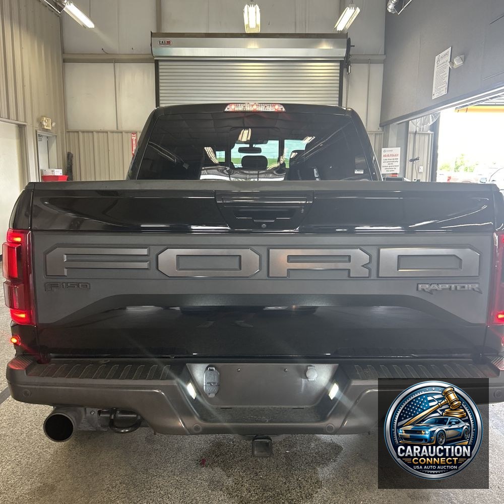 2019 Ford F-150 Raptor
