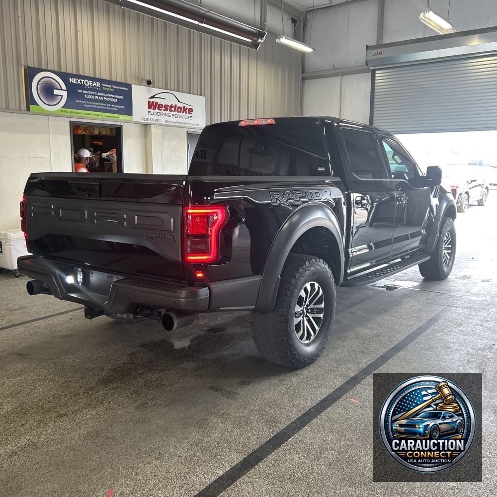 2019 Ford F-150 Raptor