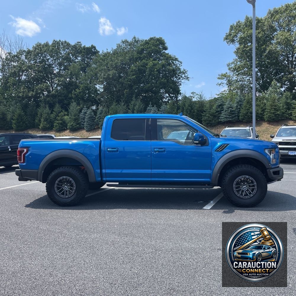 2019 Ford F-150 Raptor
