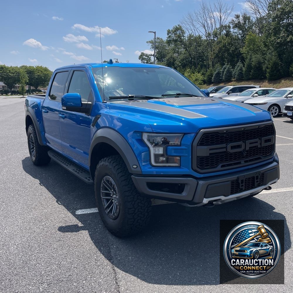 2019 Ford F-150 Raptor
