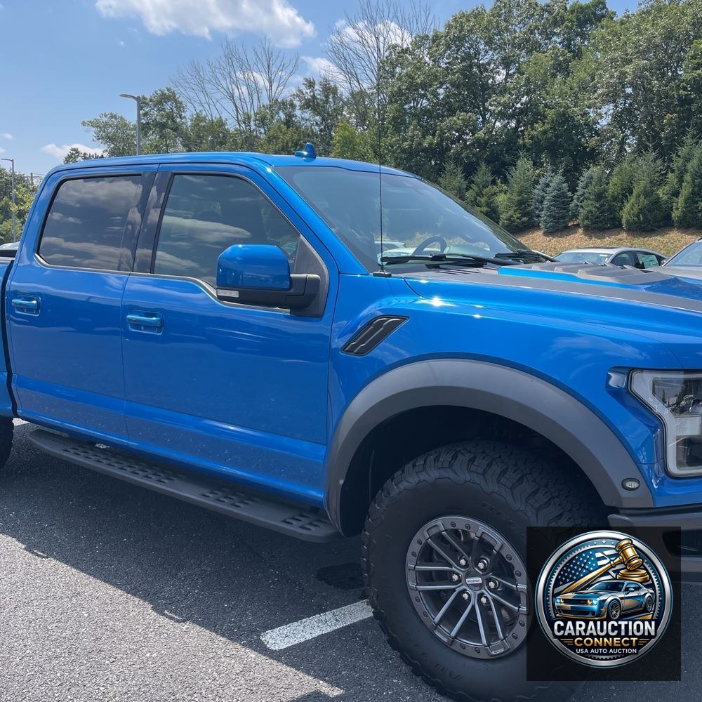 2019 Ford F-150 Raptor