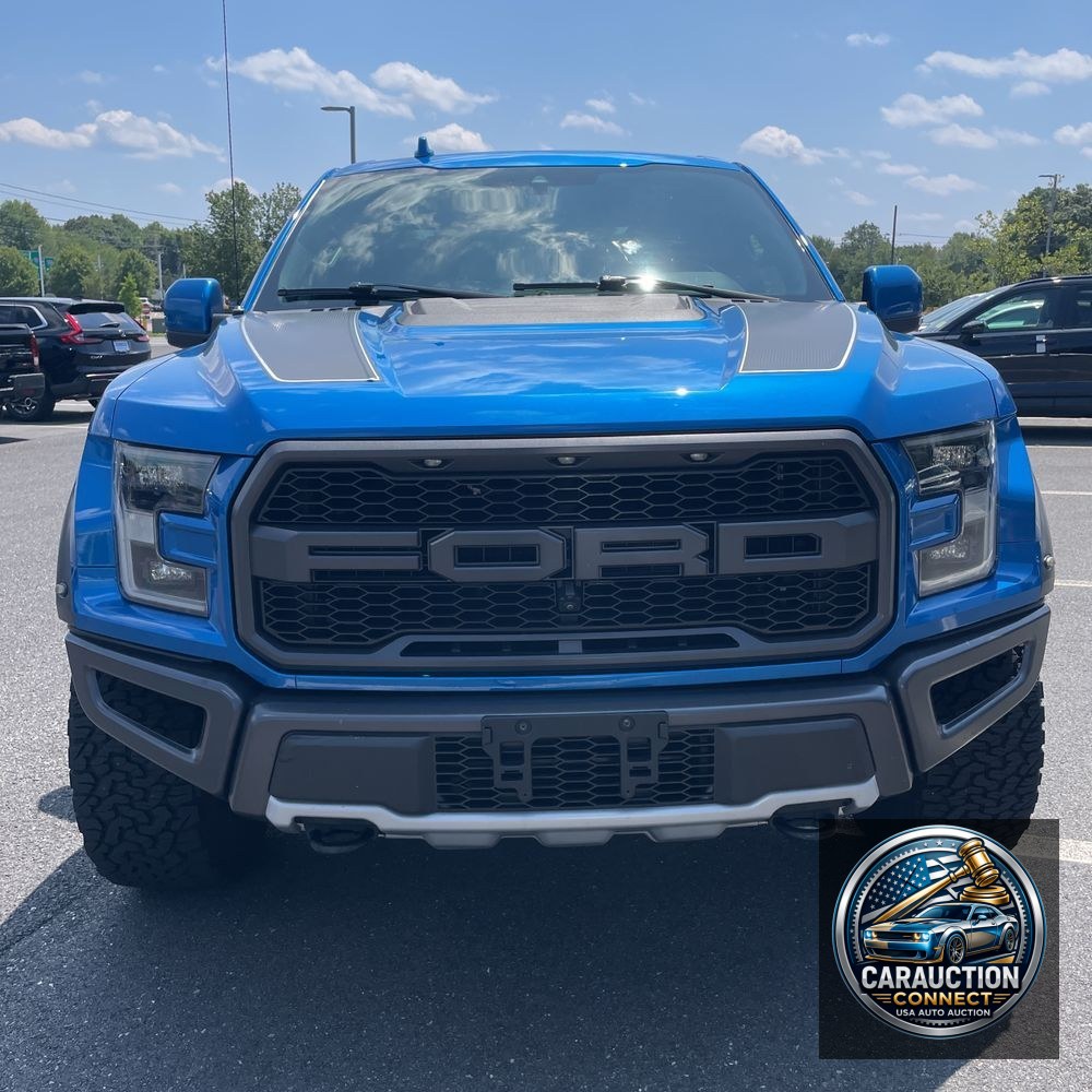 2019 Ford F-150 Raptor
